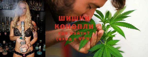ГАЛЛЮЦИНОГЕННЫЕ ГРИБЫ Алзамай