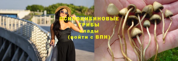 твердый Алексеевка