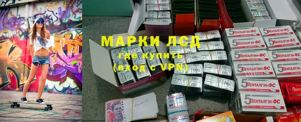 ГАЛЛЮЦИНОГЕННЫЕ ГРИБЫ Алзамай