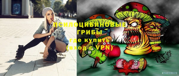 ГАЛЛЮЦИНОГЕННЫЕ ГРИБЫ Алзамай