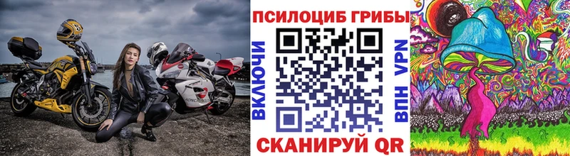 гидра   Усинск  Галлюциногенные грибы Psilocybe 