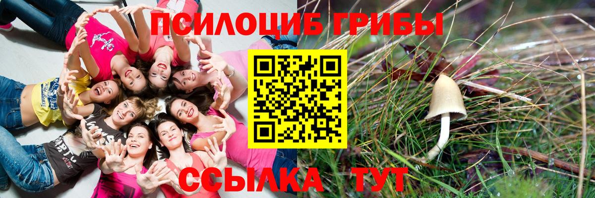 Псилоцибиновые грибы Cubensis Усинск